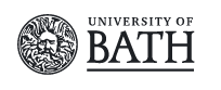 Bath University ONLINE